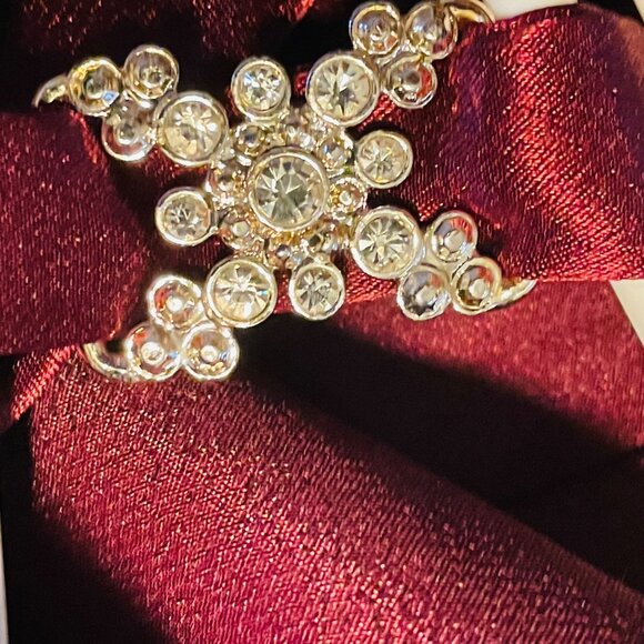 Elegant Burgundy Floor-Length Evening Gown With Rhinestone Brooch Detail & Drape - Picture 6 of 9